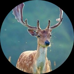 Picsart profile picture for @stationary
